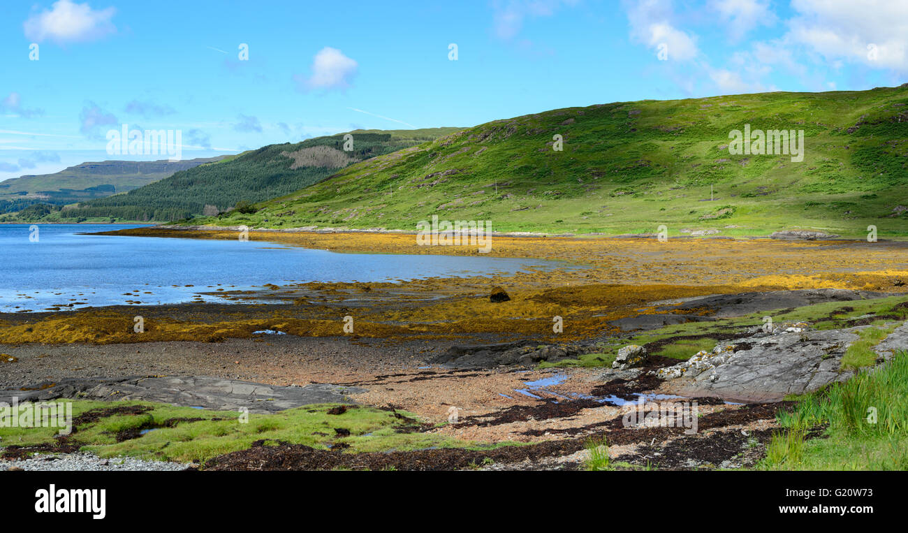 Low tide on the shore of Loch Scridain, Isle of Mull, Scotland Stock