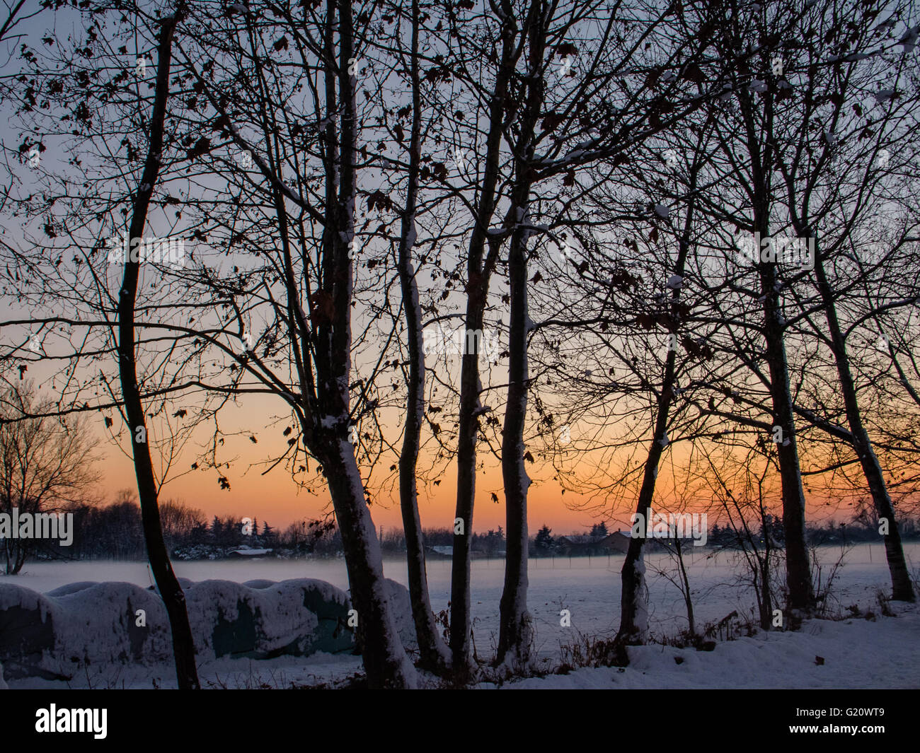 Oak tree snow sunset hi-res stock photography and images - Alamy