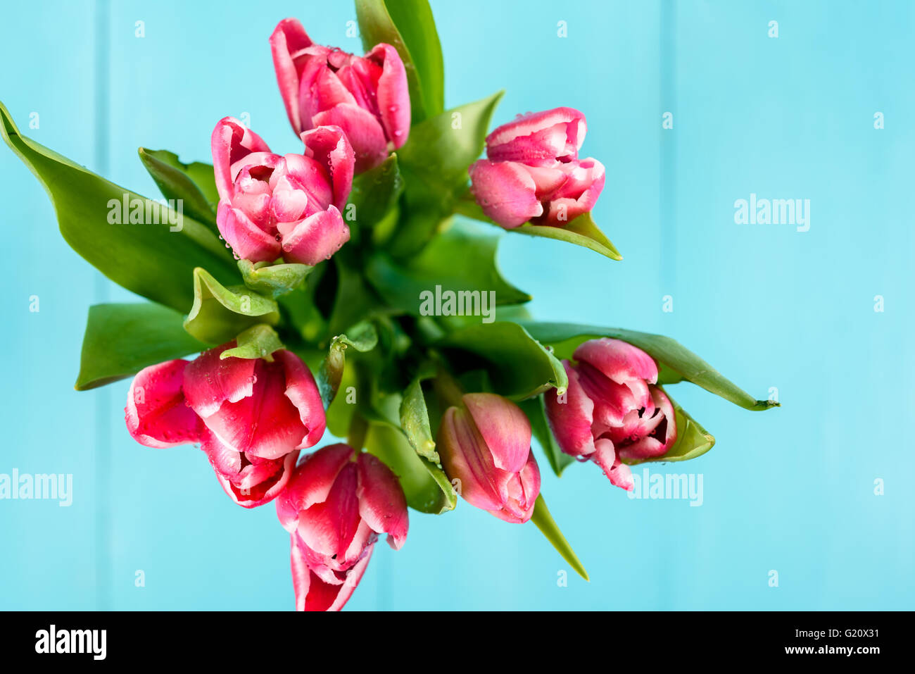 Flowers In A Turquoise Vase High Resolution Stock Photography And Images Alamy