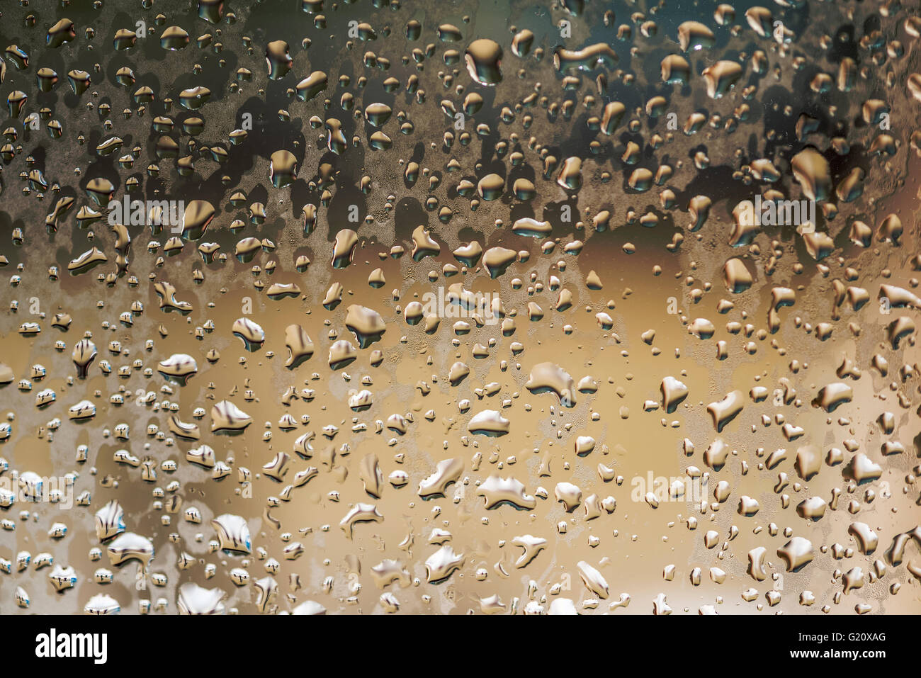 Rain droplets on glass Stock Photo