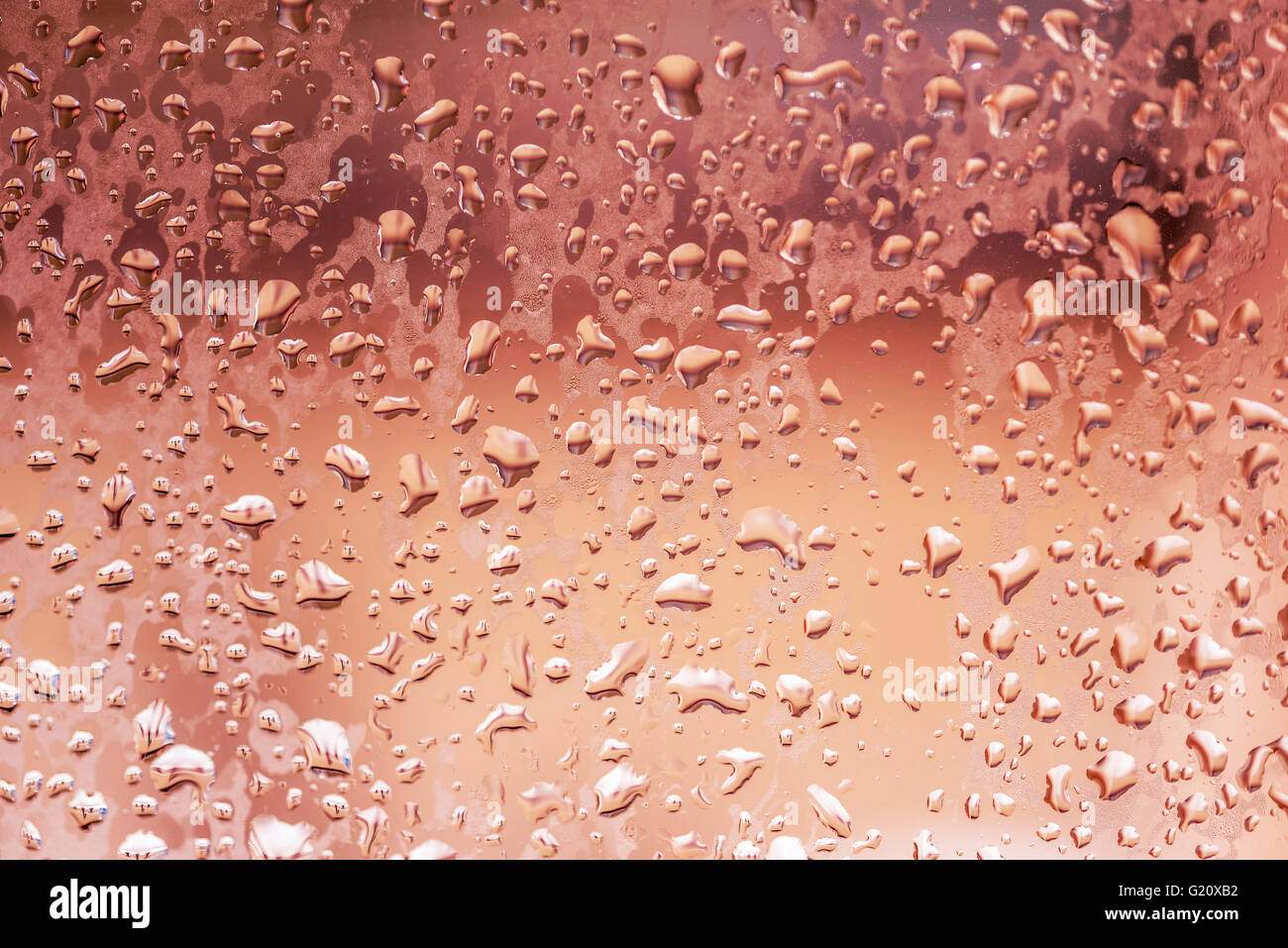Rain droplets on glass Stock Photo - Alamy