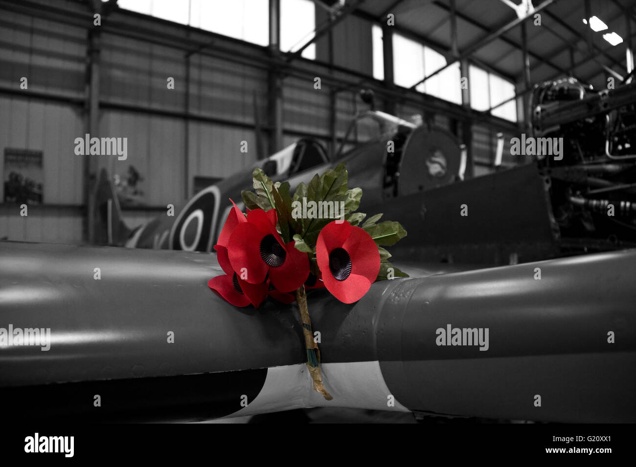 For the Fallen, Poppies on a Spitfire. Stock Photo