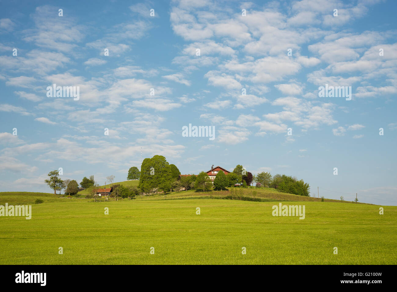 Farm houses on a hill in Upper Bavaria surrounded by blooming meadows on a sunny spring morning in spring, Bavaria, Germany Stock Photo