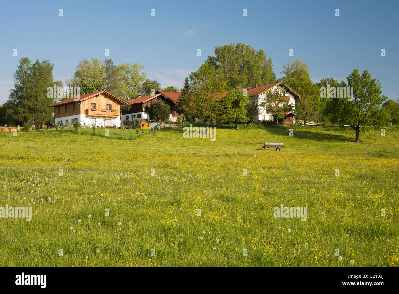 Farm houses on a hill in Upper Bavaria surrounded by blooming meadows ...