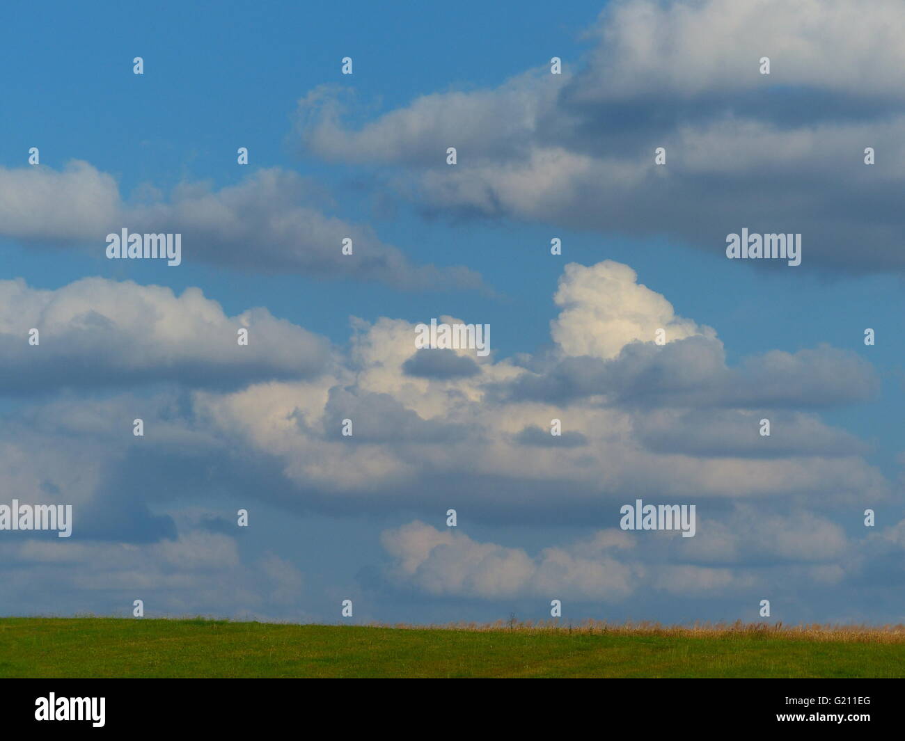 cloud, white, cumulus nimbus, sky, weather, clouds, weather forecast, group, cumulus limbus, field, agriculture, nice day, partl Stock Photo