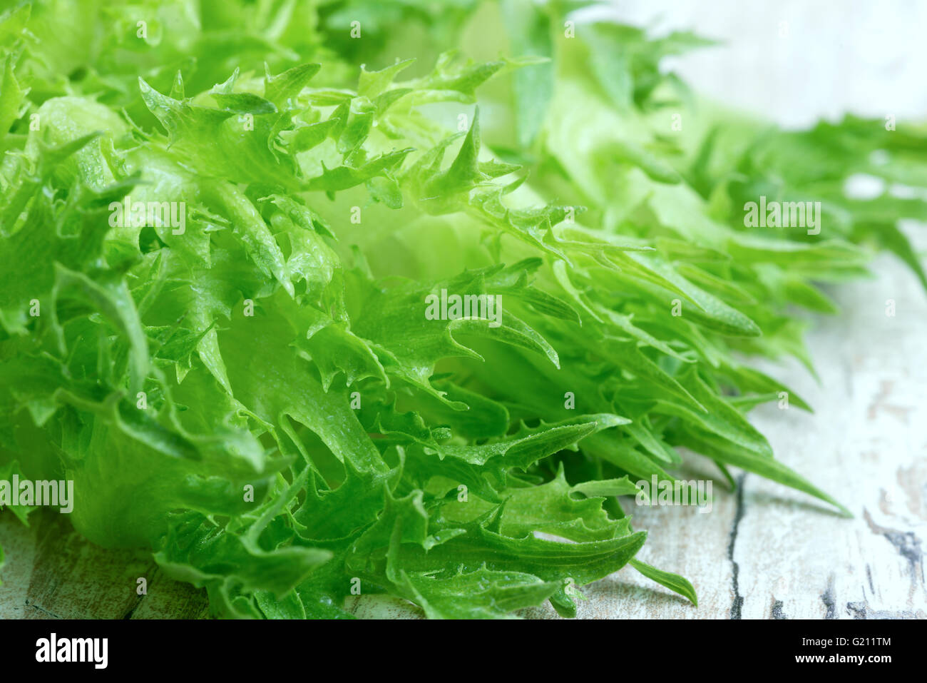 background healthy food - fresh green curly lettuce Stock Photo - Alamy