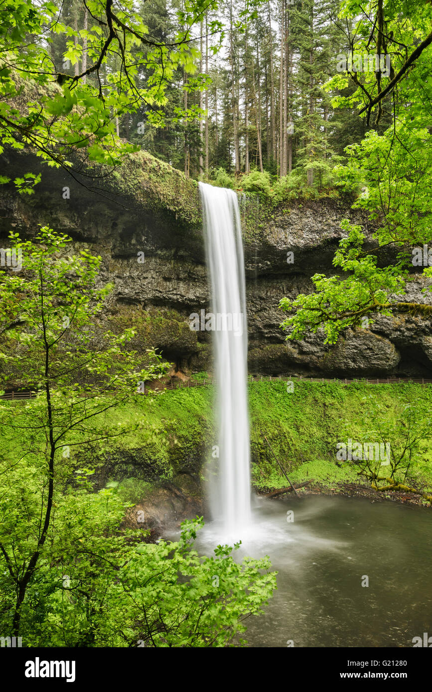 South Falls, Silver Falls State Park, Oregon. Stock Photo