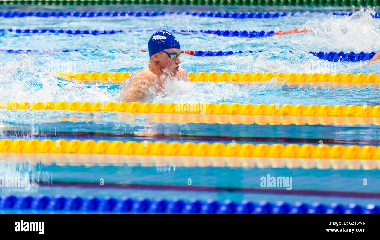 Aquatics Centre, London, UK, 21st May 2016. European Swimming Championships. Men's 50m breaststroke final. Adam Peaty during the race. British favourite Adam Peaty wins the gold medal in 26.66, with 2nd British swimmer Ross Murdoch taking Bronze in 27.31, whilst silver goes to Slovenian Peter John Stevens in 27.09. Credit:  Imageplotter News and Sports/Alamy Live News Stock Photo