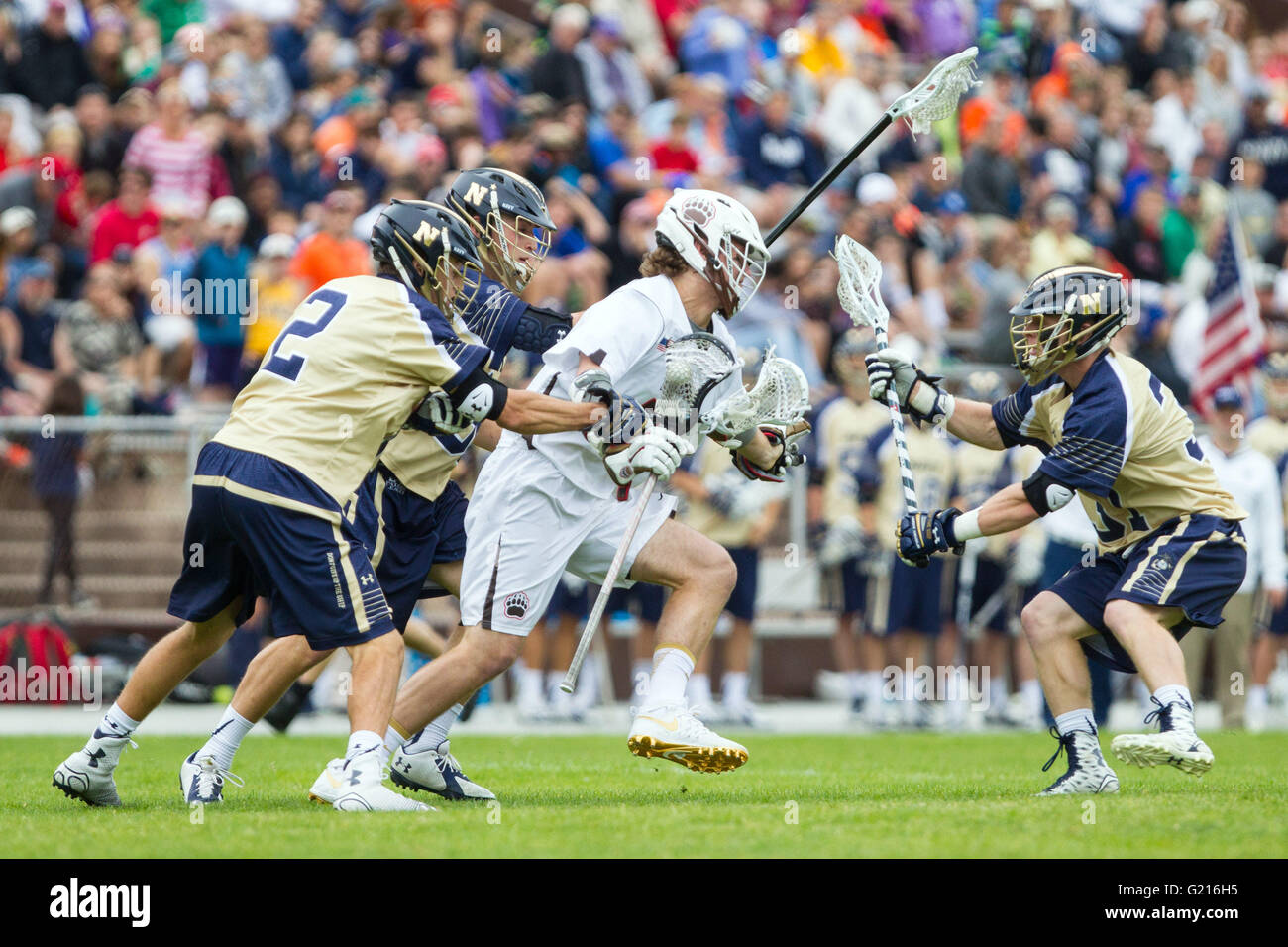 Brown Stadium. 21st May, 2016. RI, USA; Brown Bears midfielder Brendan Caputo (41) surrounded by Navy Midshipmen defenseman Hiram Carter (32), Navy Midshipmen midfielder John Trainor (31) and Navy Midshipmen midfielder DJ Plumer (2) during the first half of an NCAA Division 1 quarterfinal lacrosse game between Navy Midshipmen and Brown Bears at Brown Stadium. Brown defeated Navy 11-10. Anthony Nesmith/Cal Sport Media/Alamy Live News Stock Photo