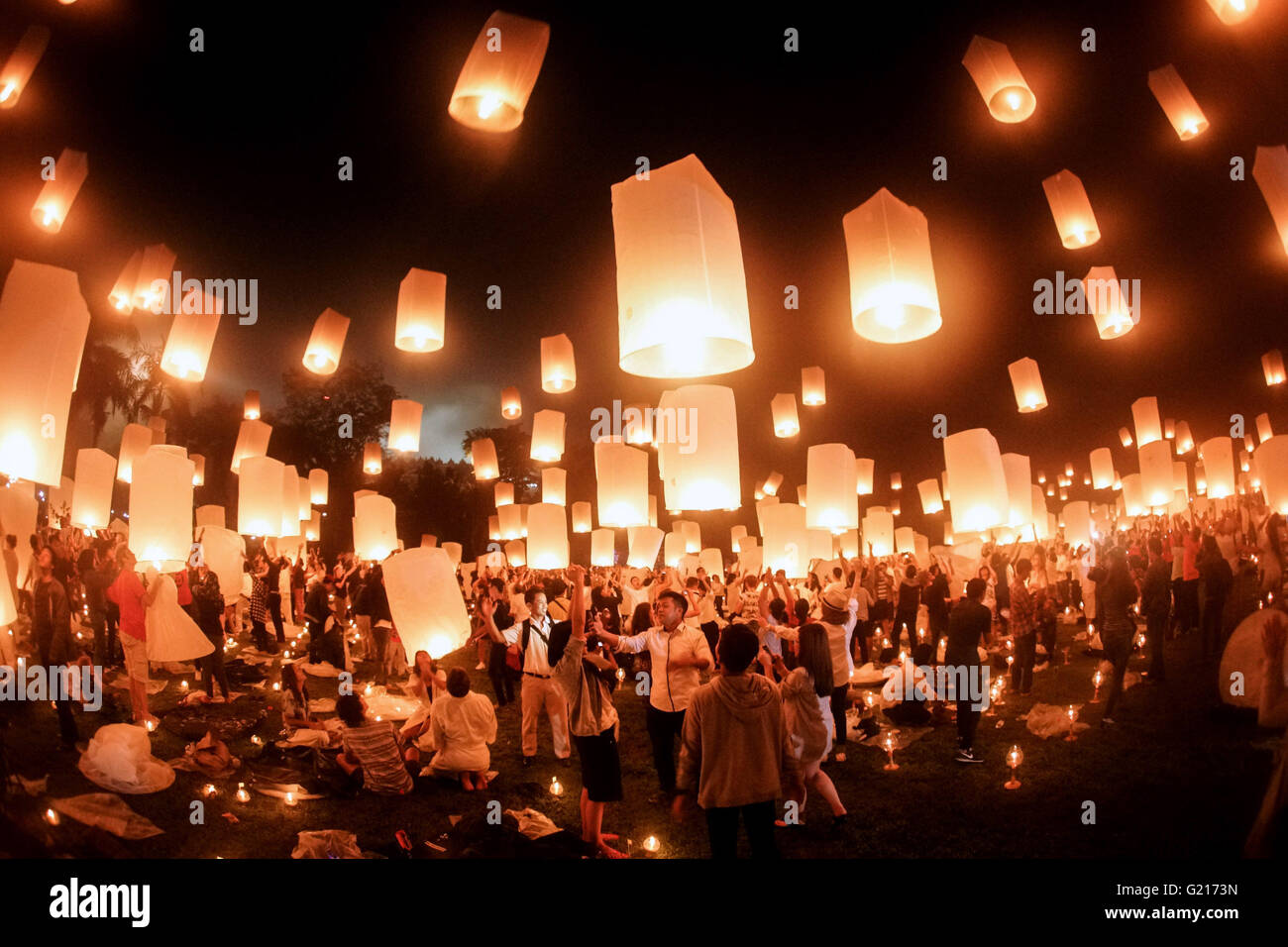 Lantern day 2016 new arrivals