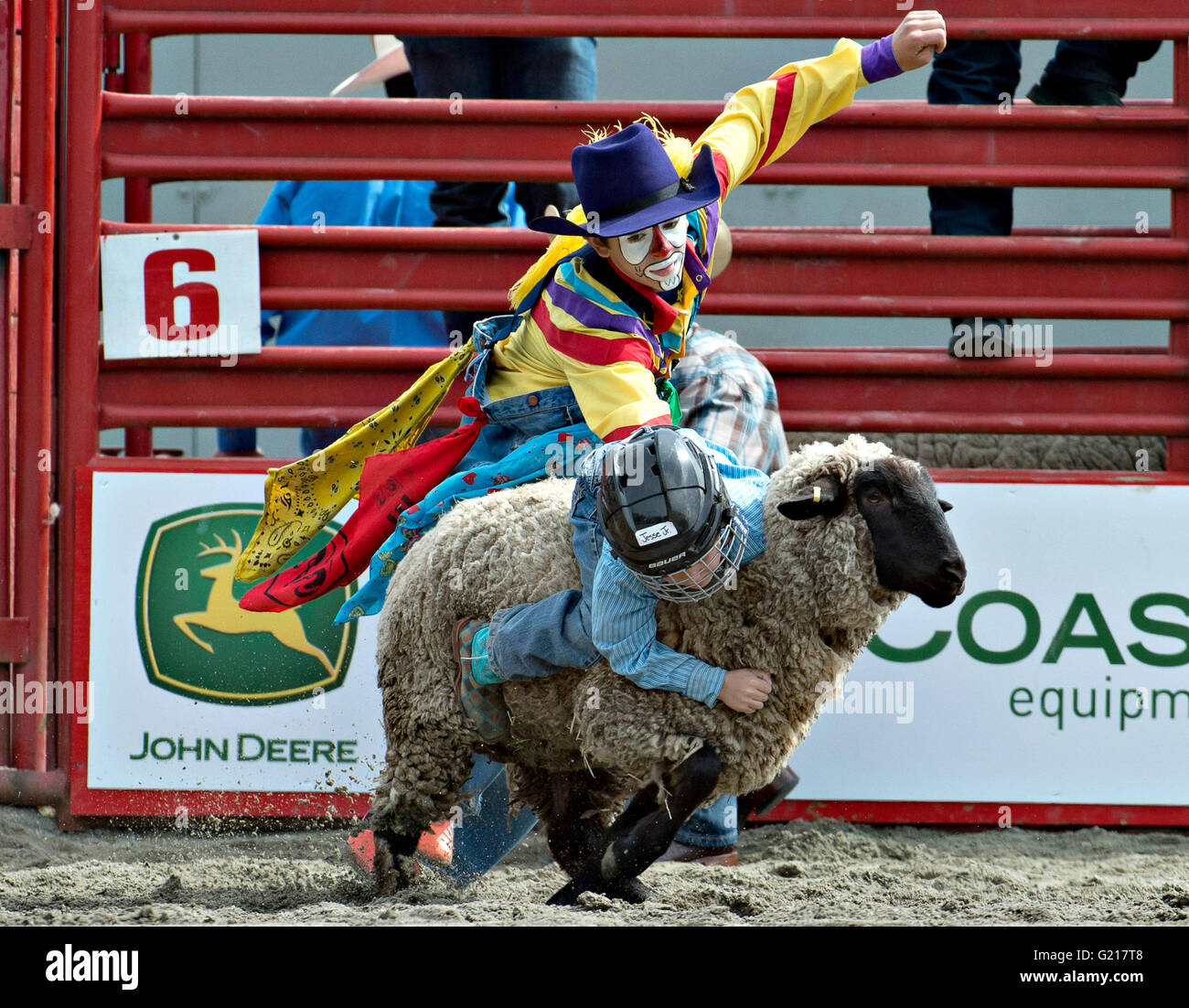 Mutton Busting Numbers Mutton busting hi-res stock photography and images - Alamy