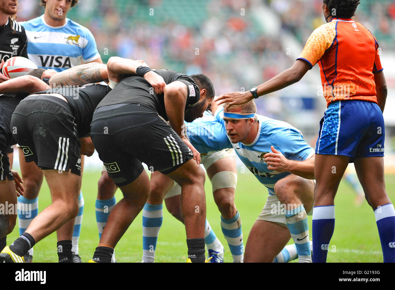 London, UK. 21st May, 2016. An Argentinian player looking very focused as they prepare to lock into a scrum with New Zealand during their pool match, HSBC World Rugby Sevens Series, Twickenham Stadium, London, UK. The match was a daw in the end, 14-14. Credit:  Michael Preston/Alamy Live News Stock Photo