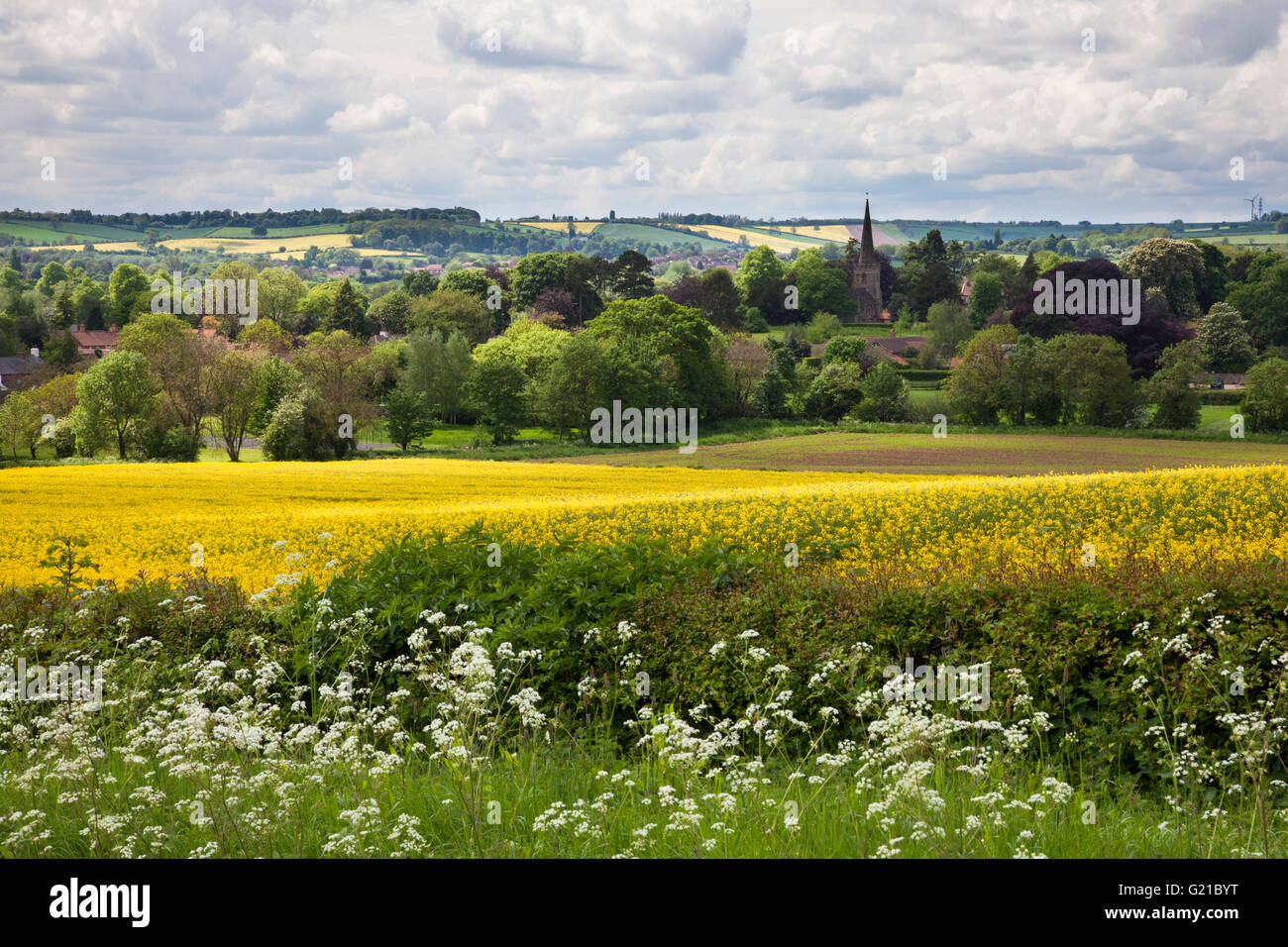 Epperstone, Nottinghamshire, U.K. 22nd May 2016. A typically English rural scene of hedgerows with new growth and rapeseed fields bathed in the spring sunshine in the countryside surrounding the Nottinghamshire village of Epperstone with it's church spire in the distance. Credit:  Mark Richardson/Alamy Live News Stock Photo