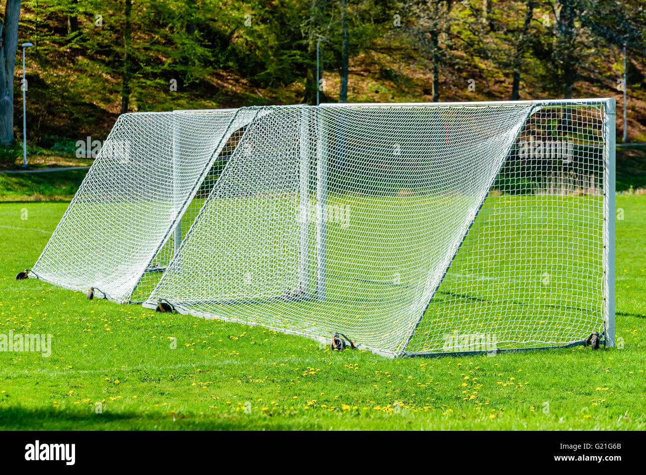 Two soccer goals side by side on a green grass field. Forest in