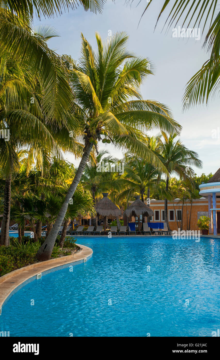Palm trees, swimming pool, beach chairs, palm umbrellas, Iberostar Paraíso Beach resort, Playa del Carmen, Quintana Roo Stock Photo