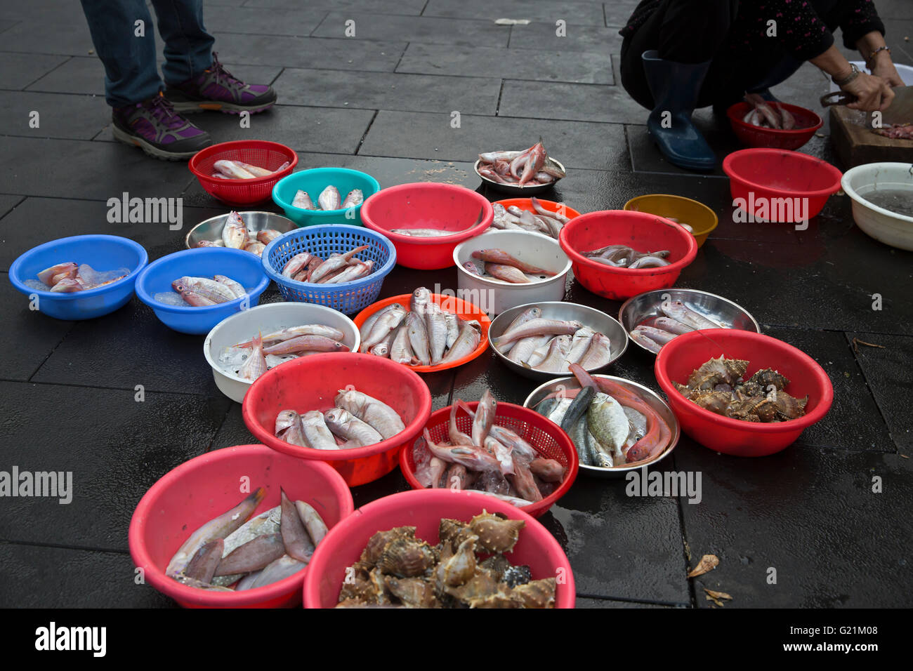 Fresh Fish market in Aberdeen Hong Kong Stock Photo Alamy