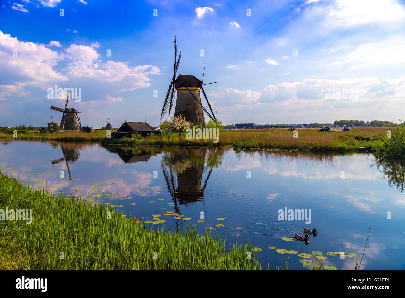 Windmills reflected in the Dutch canals at Kinderdijk, UNESCO site in 