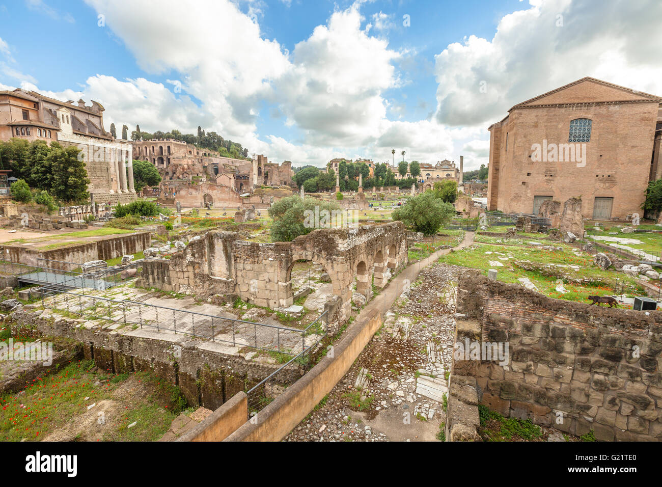 Roman Forum Rome Stock Photo