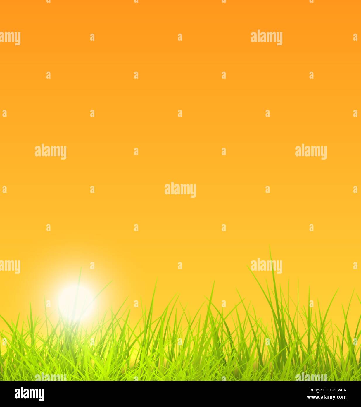 Summer Nature Background with Grass, Sunset Stock Vector Image & Art ...