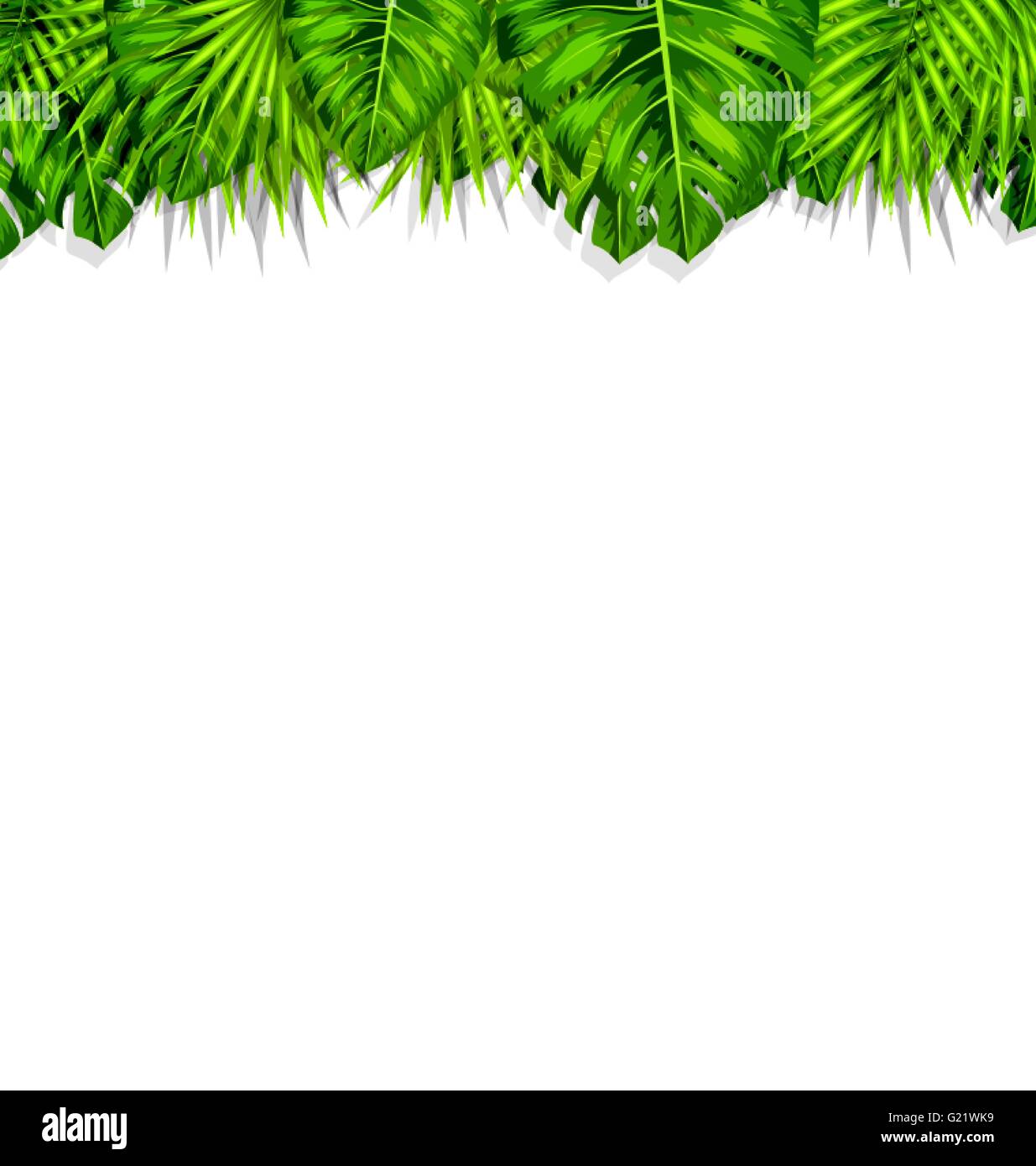 Frame Tropical Leaves Summer Background Stock Vector Image & Art - Alamy