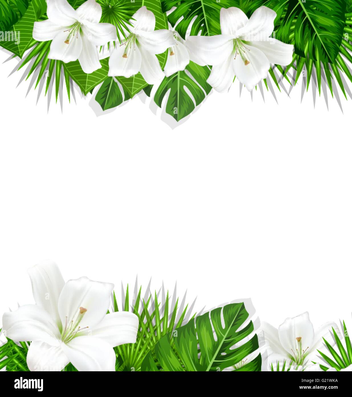Frame branch tropical leaves and white flowers lily Stock Vector Image ...
