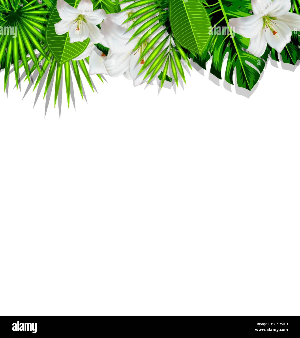 Frame branch tropical leaves and white flowers lily Stock Vector Image ...
