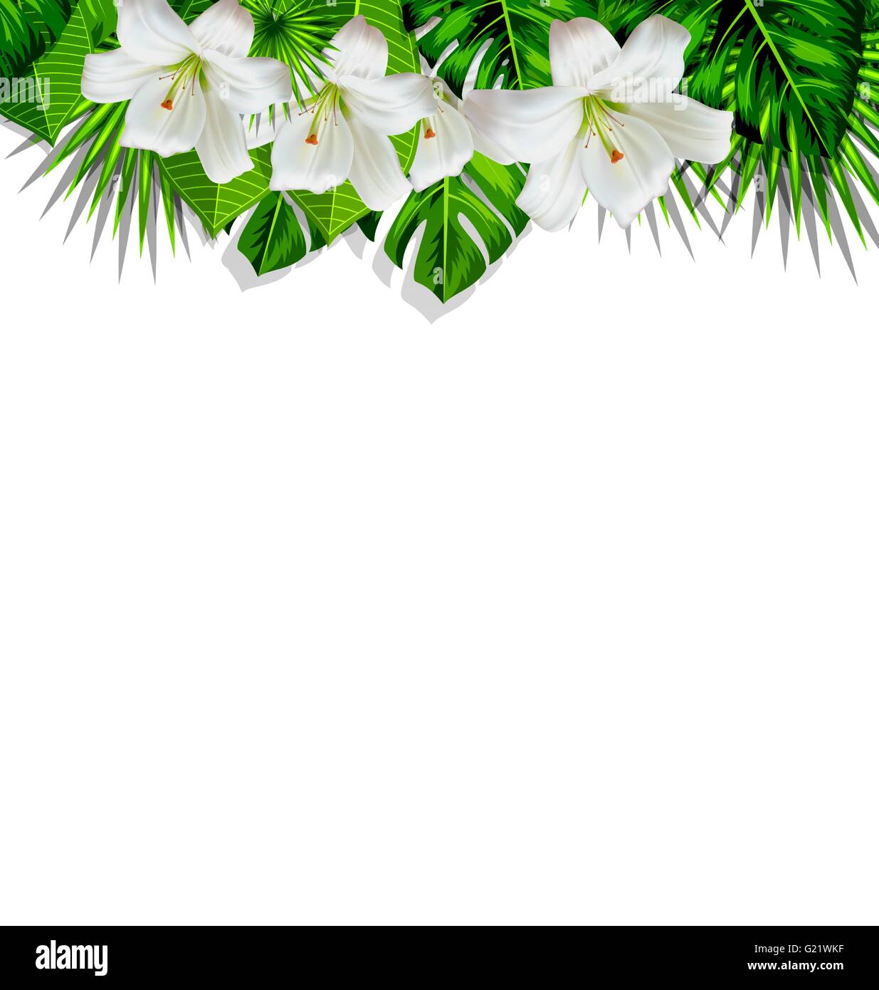Frame branch tropical leaves and white flowers lily Stock Vector Image ...