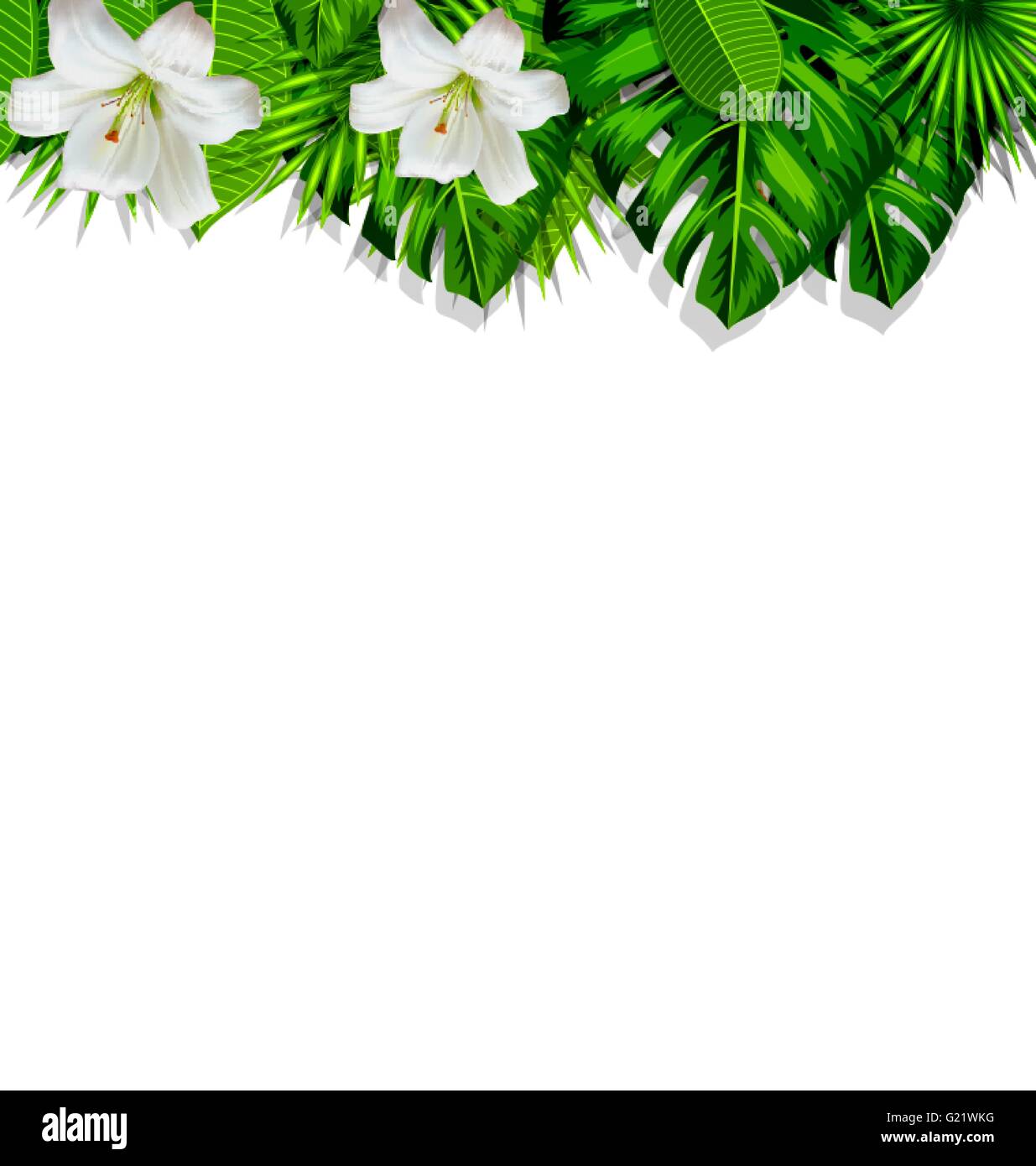 Frame branch tropical leaves and white flowers lily Stock Vector Image ...