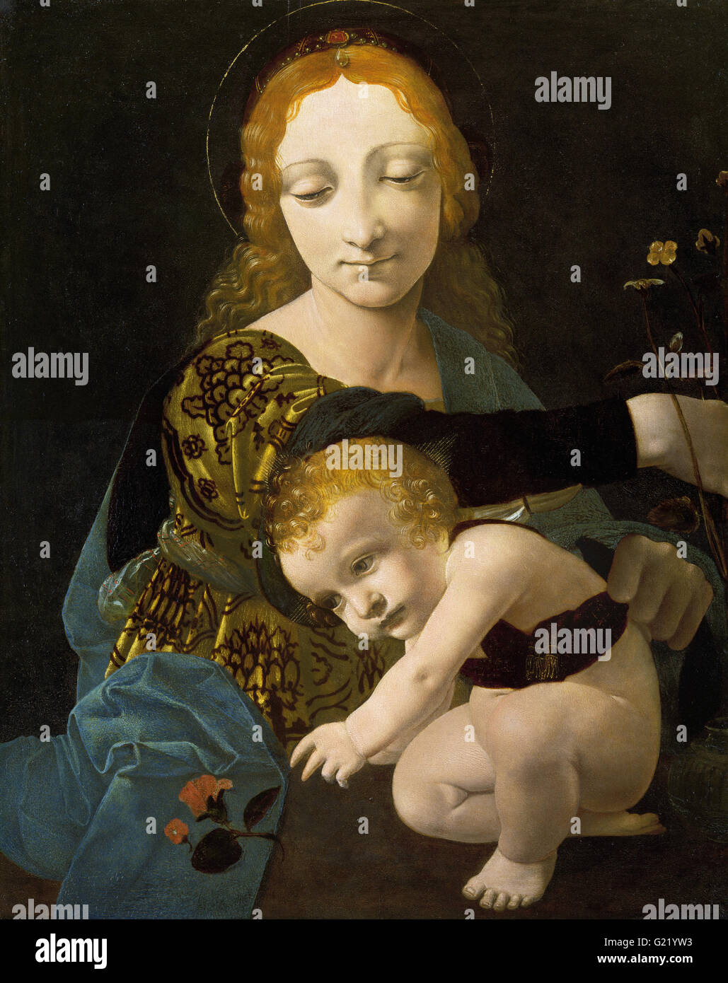 Giovanni Antonio Boltraffio - The Virgin and Child (The Madonna of the Rose)  - Museo Poldi Pezzoli Stock Photo