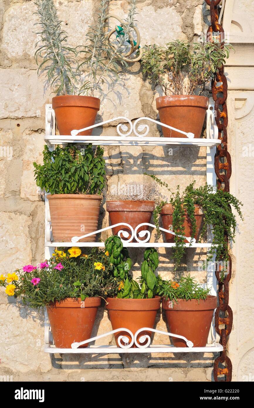 palm plants in pots Areca Palm with Large Metal Self Watering Pot main image 0