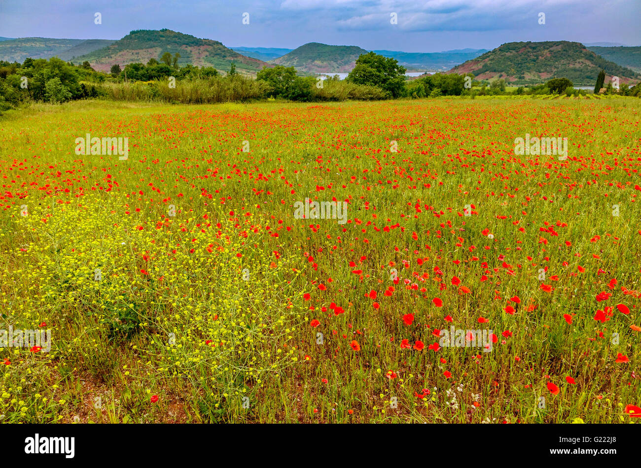 Poppies fields france hi-res stock photography and images - Alamy