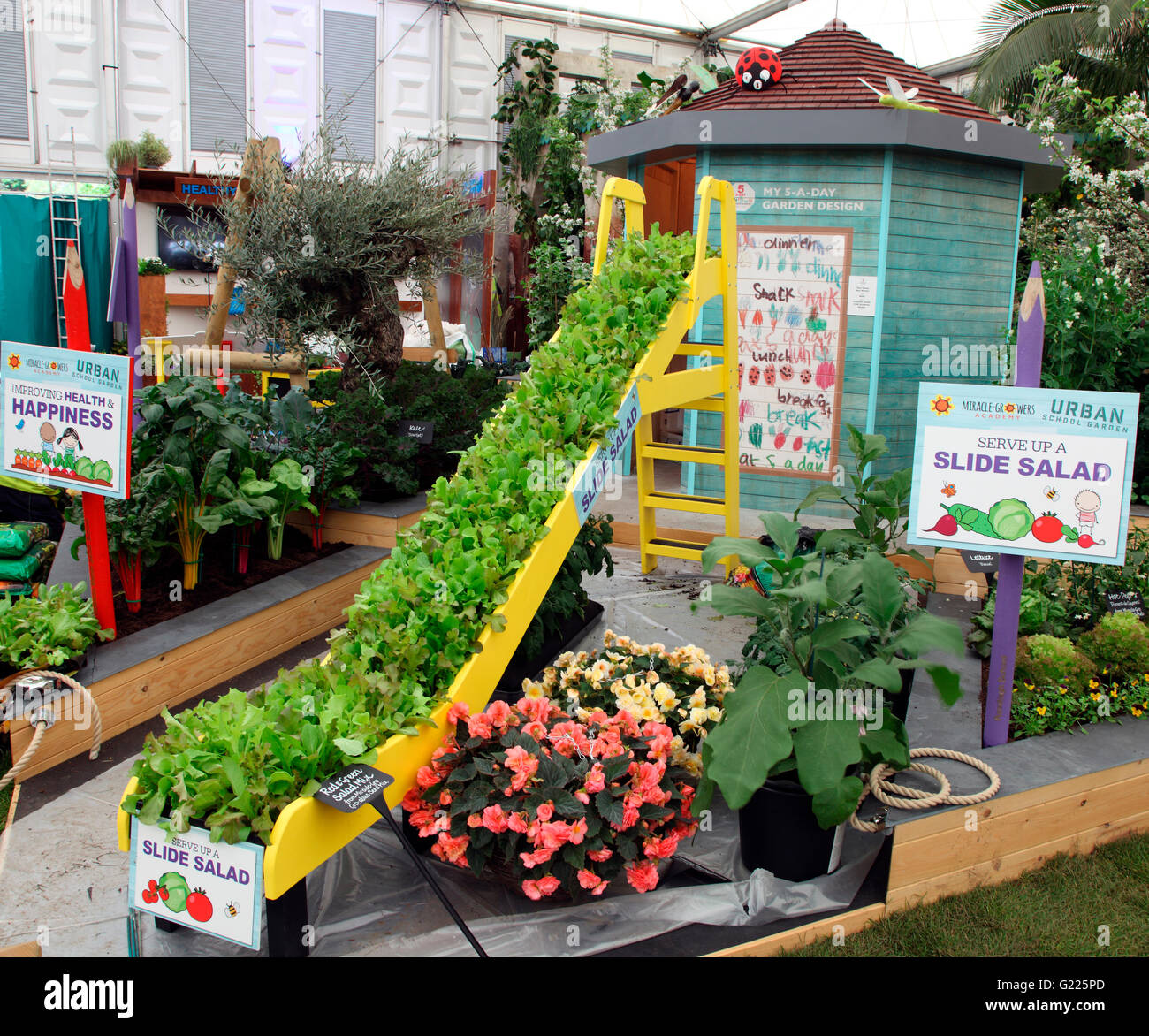 Slide Salad in Miracle Growers Urban School Garden at RHS Chelsea Flower Show 2016 Stock Photo