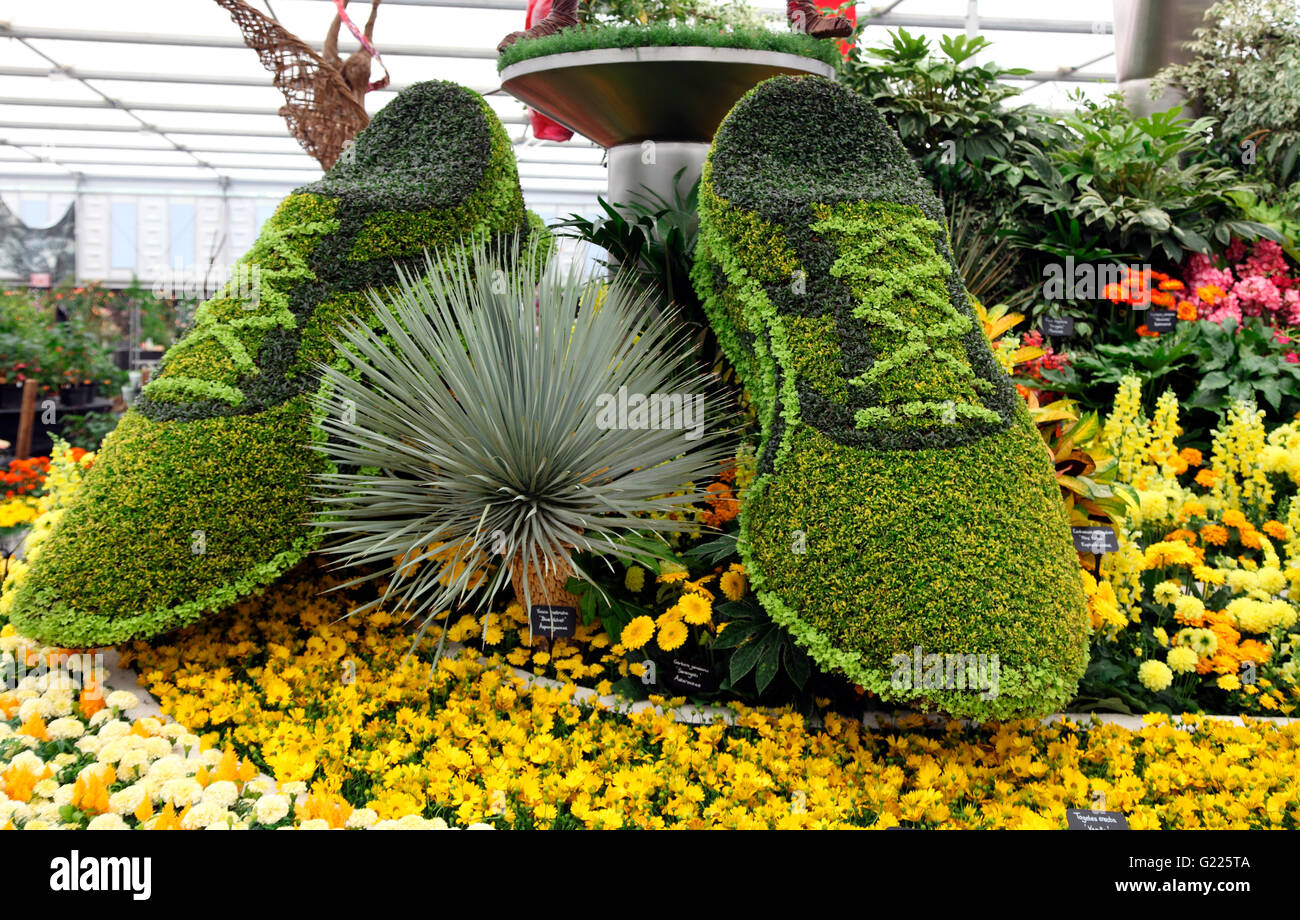 Usain Bolt trainers in Birmingham Citys display at RHS Chelsea Flower Show 2016 Stock Photo