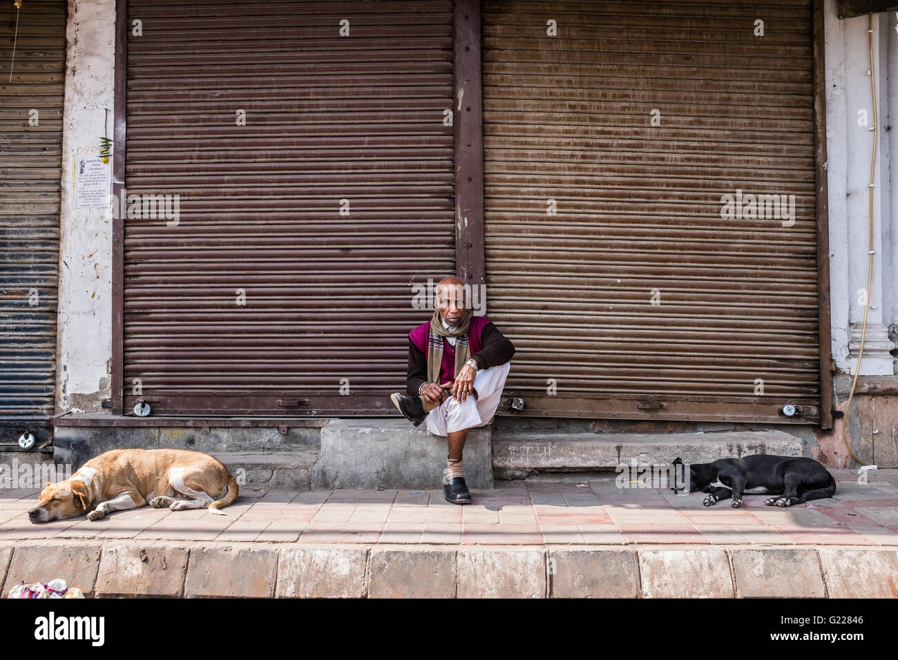Man sitting outside shuttered shop with two sleeping dogs in Delhi, India Stock Photo