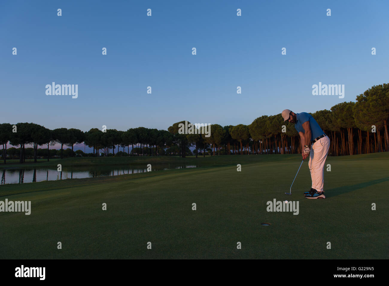 golfer hitting ball shot with driver on golf course at beautiful sunset ...