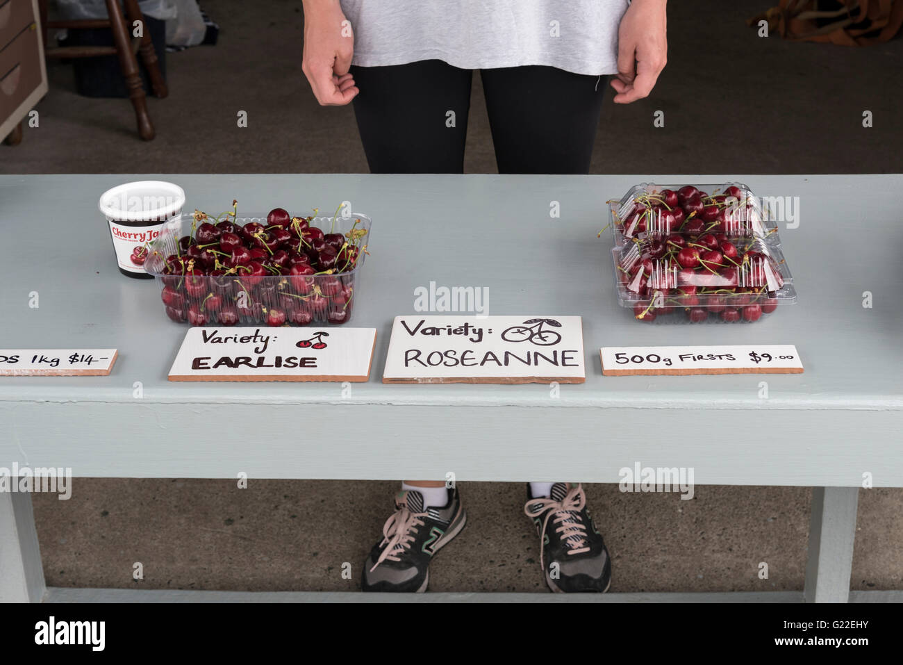 Earlise and Roseanne cherries for sale at Blenheim orchard, New Zealand