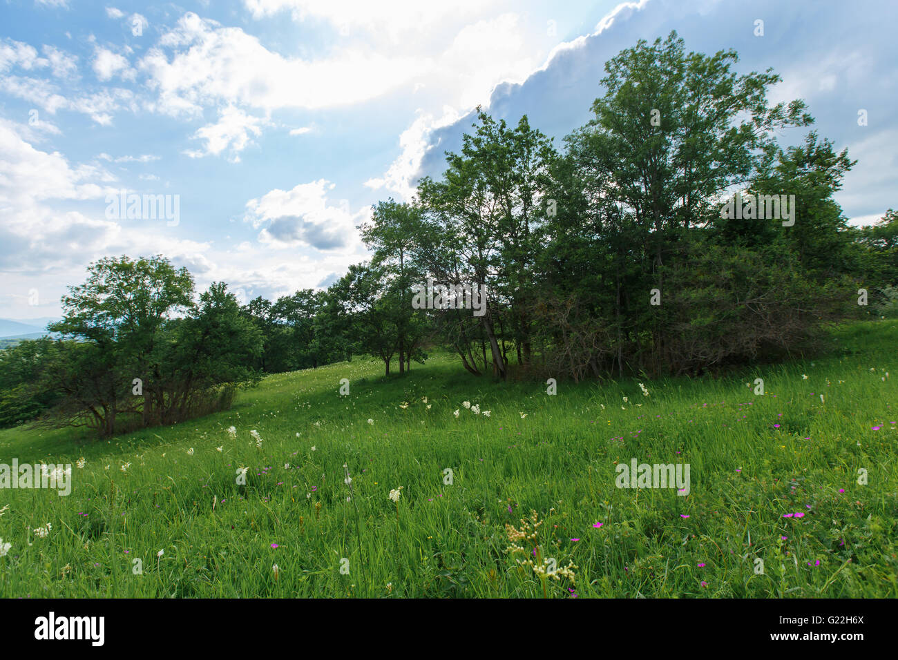 summer landscape with green grass, road and clouds Stock Photo - Alamy