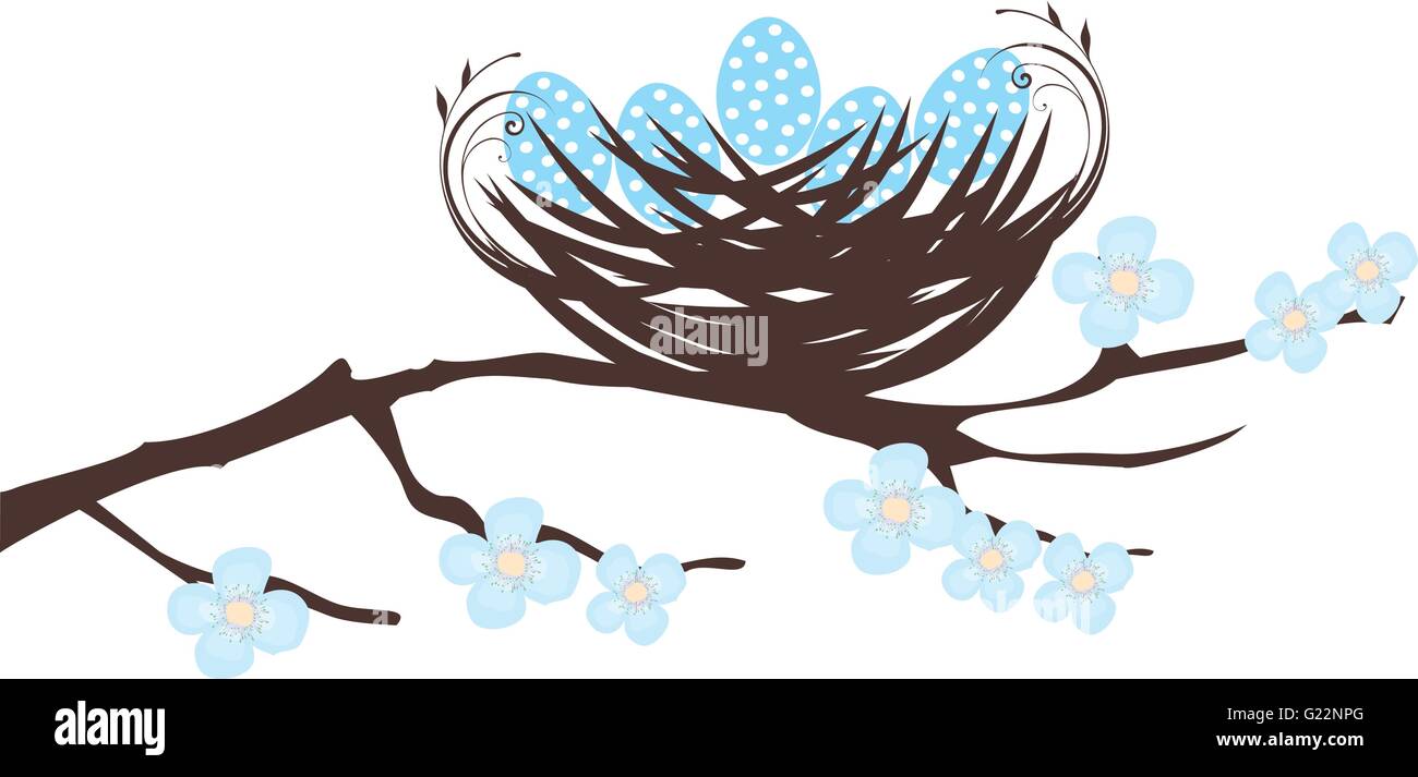 vector illustration of a bird nest with eggs Stock Vector Image & Art ...