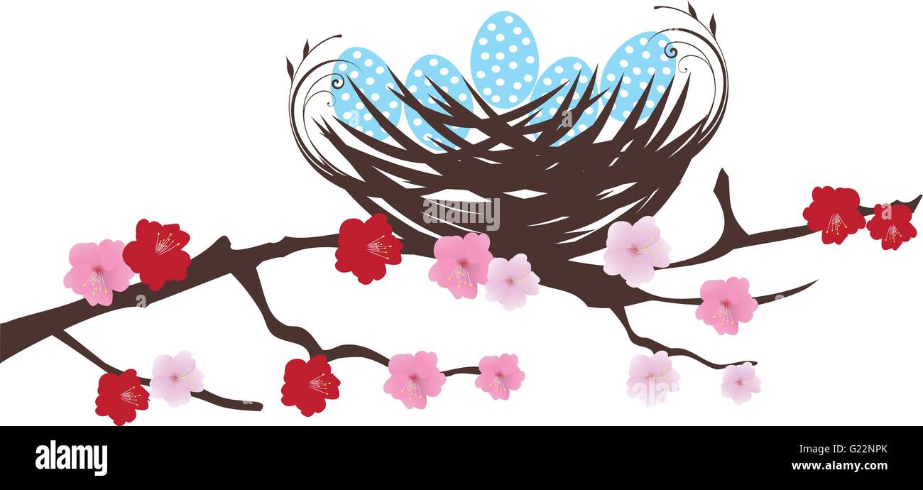 vector illustration of a bird nest with eggs Stock Vector Image & Art ...