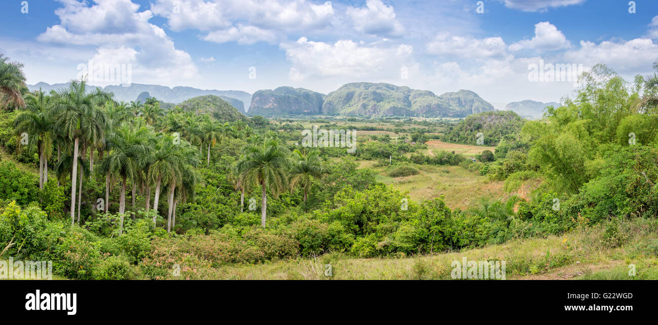 Panorama of Vinales Valley, Cuba Stock Photo