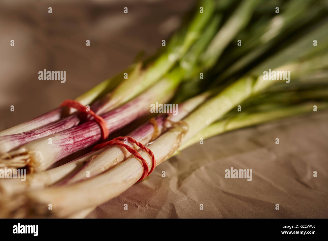 bunches of garlic greens Stock Photo