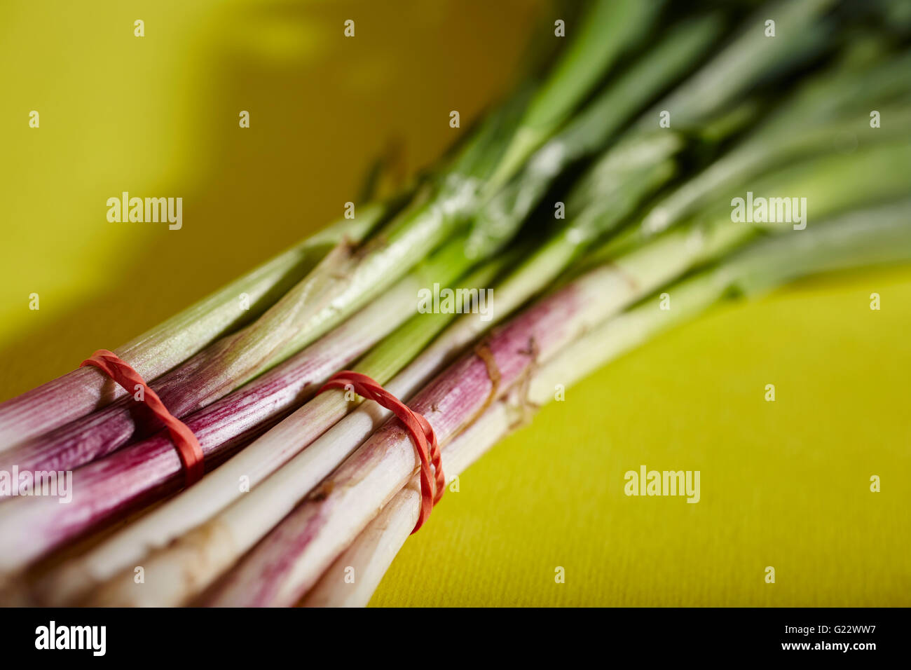 bunches of garlic greens Stock Photo