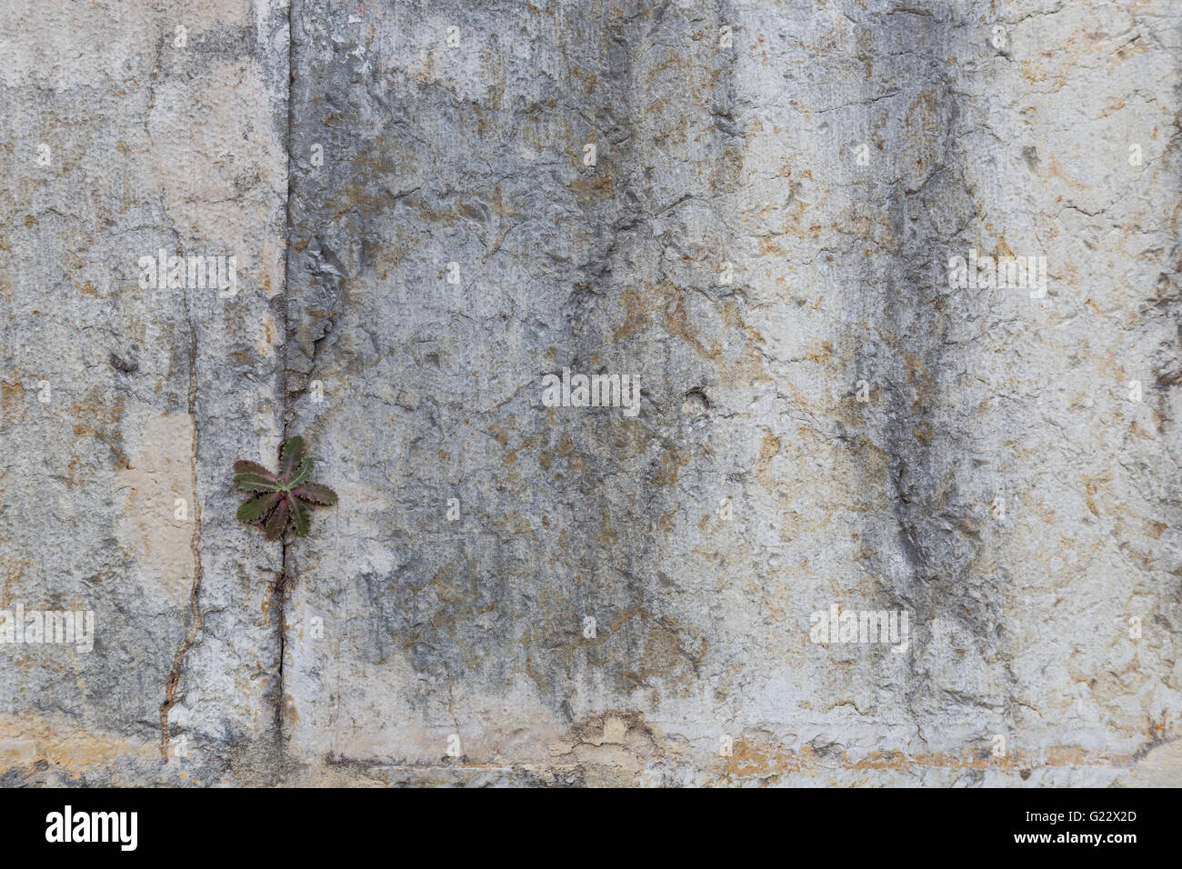 old stone wall as background or texture Stock Photo - Alamy