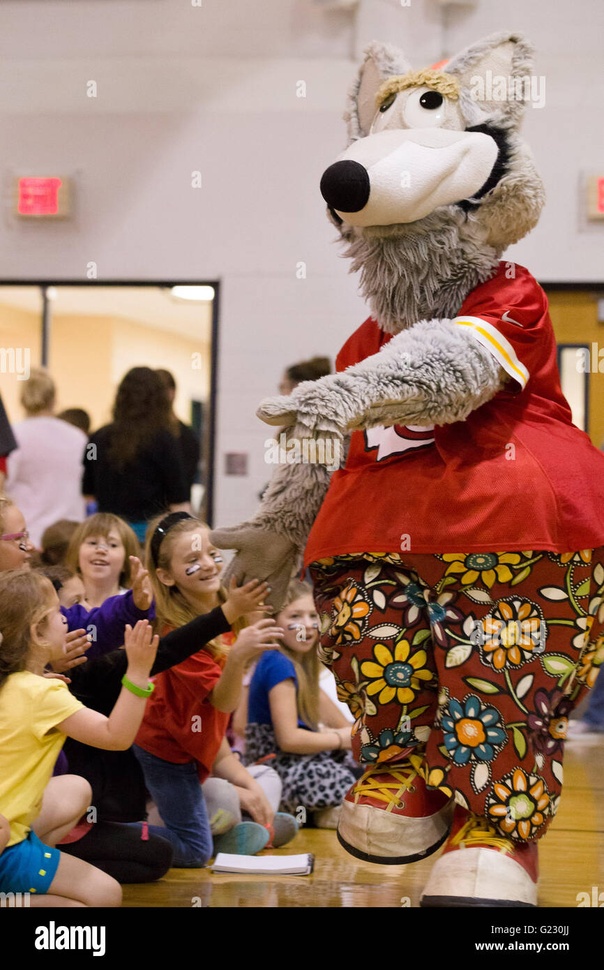 Kansas city chiefs mascot hi-res stock photography and images - Alamy