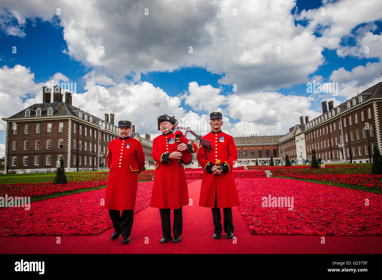 London, UK. 23rd May, 2016. Chelsea Pensioners walk down the Carpet of Hand Crocheted Poppies in front of the the Royal Hospital a display put on as part of the 2016 Chelsea Flower Show Credit:  David Betteridge/Alamy Live News Stock Photo