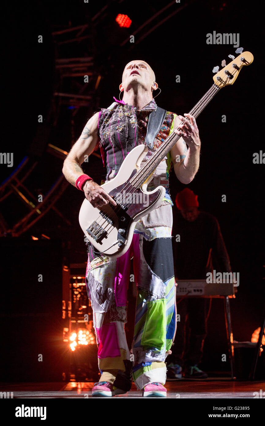 Red hot chili peppers bassist flea hires stock photography and images
