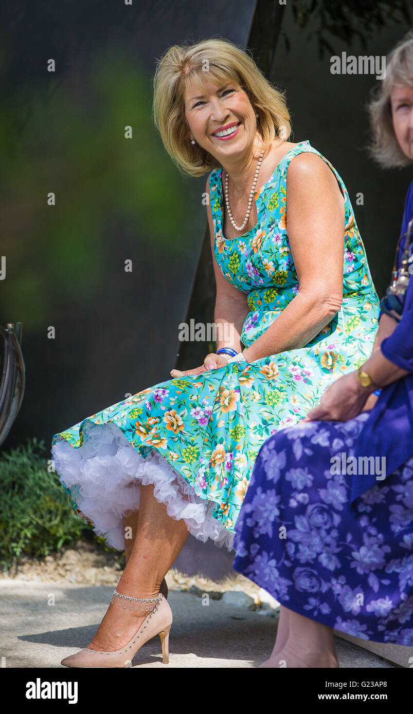 London, UK. 23rd May, 2016. TV Presenter Jennie Bond Relaxing at the Chelsea Flower Show 2016 Credit:  David Betteridge/Alamy Live News Stock Photo