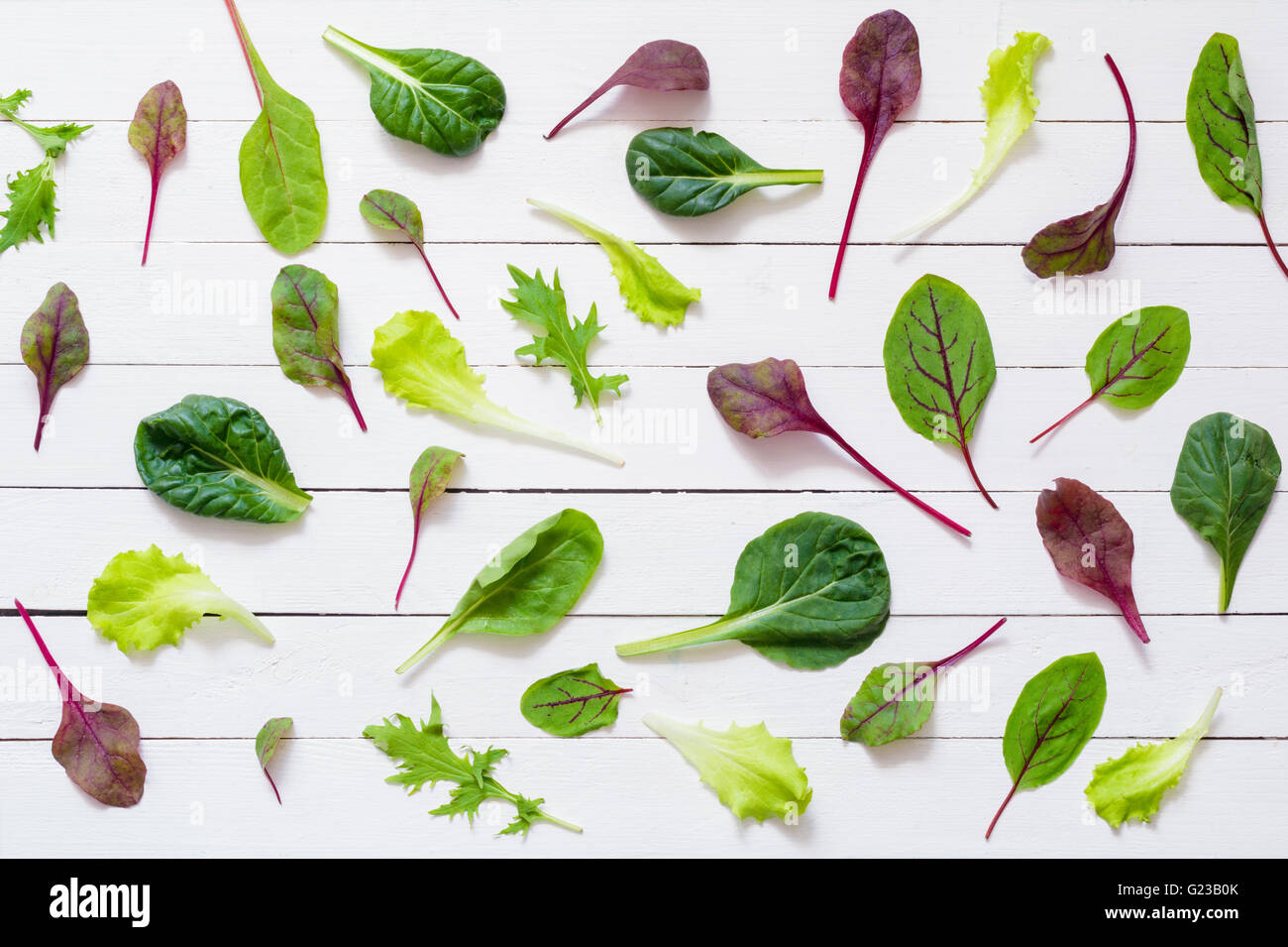 Pattern design of various salad leaves on white wooden background / Flat lay green salad leaves on white background Stock Photo