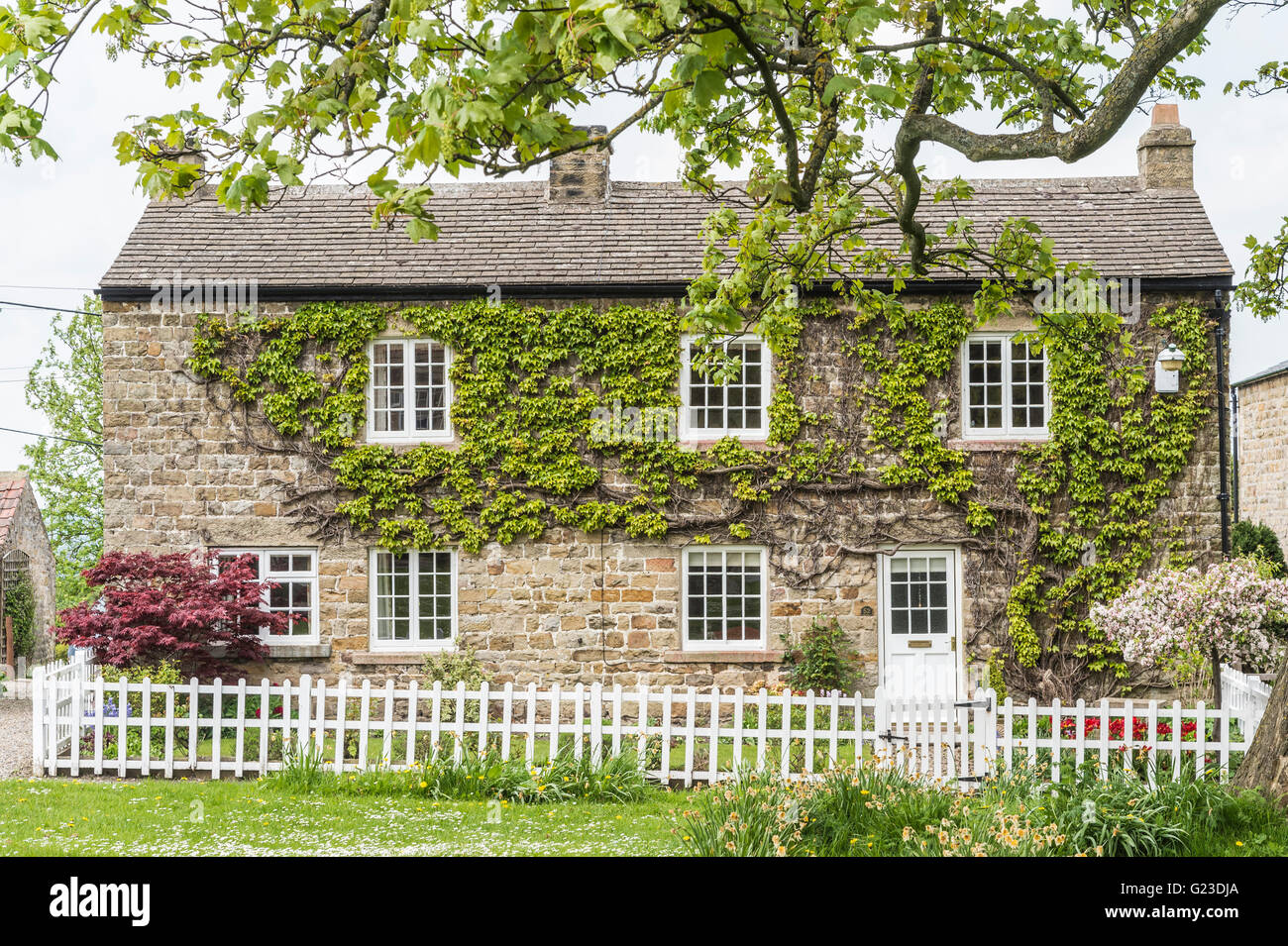 Country Houses of the Yorkshire Dales Stock Photo Alamy