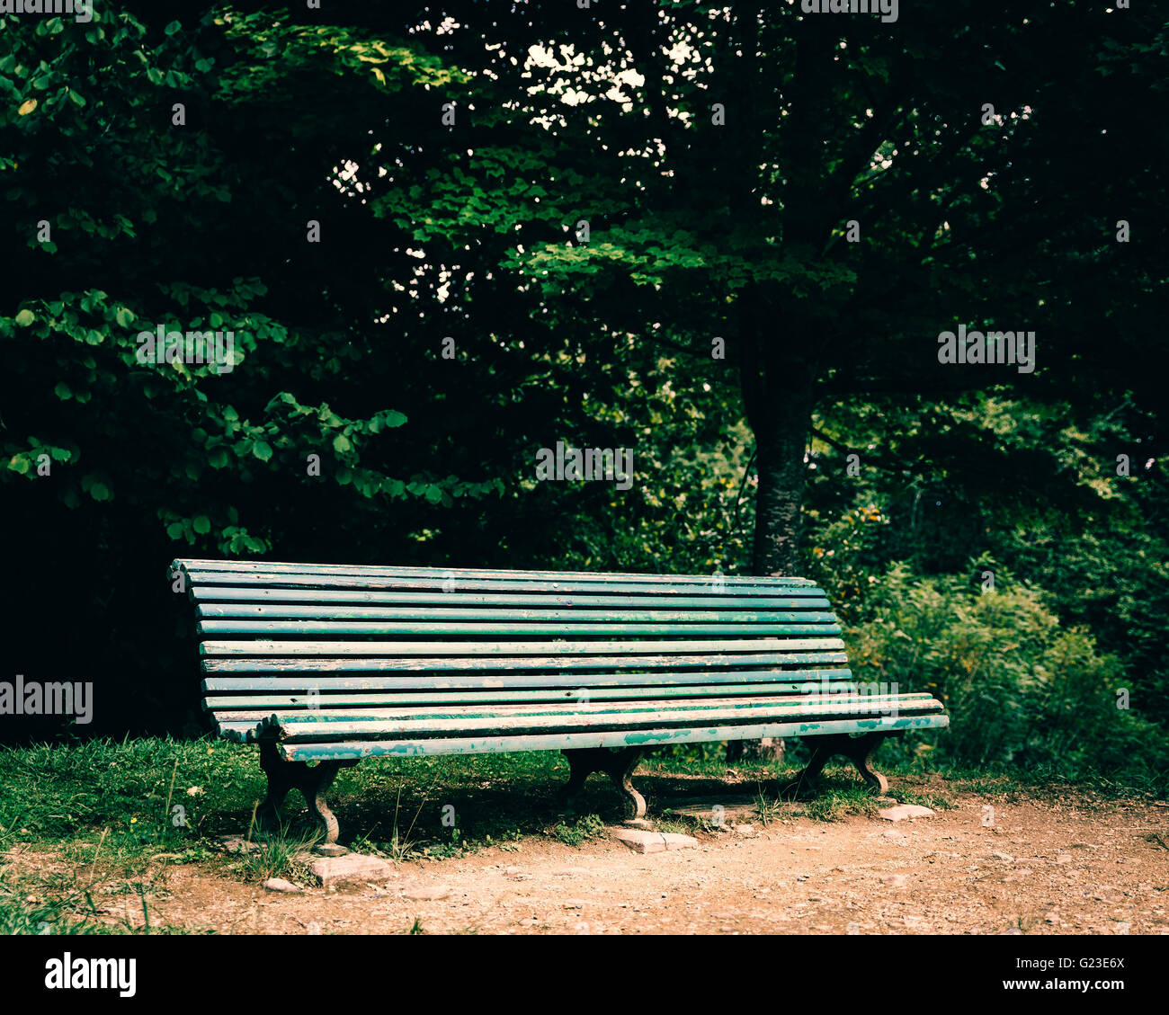 Old green bench in a park Stock Photo